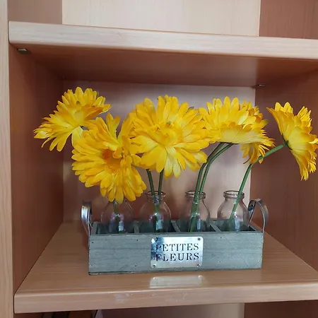 Giardino Privato - Comodo Per Malpensa E Milano - Con Parcheggio *